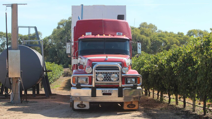A grape truck near Renmark in South Australia's Riverland region.