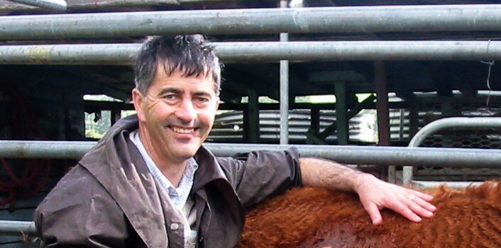 Australia's bovine Johne's disease regulation 'ludicrous', expensive ...