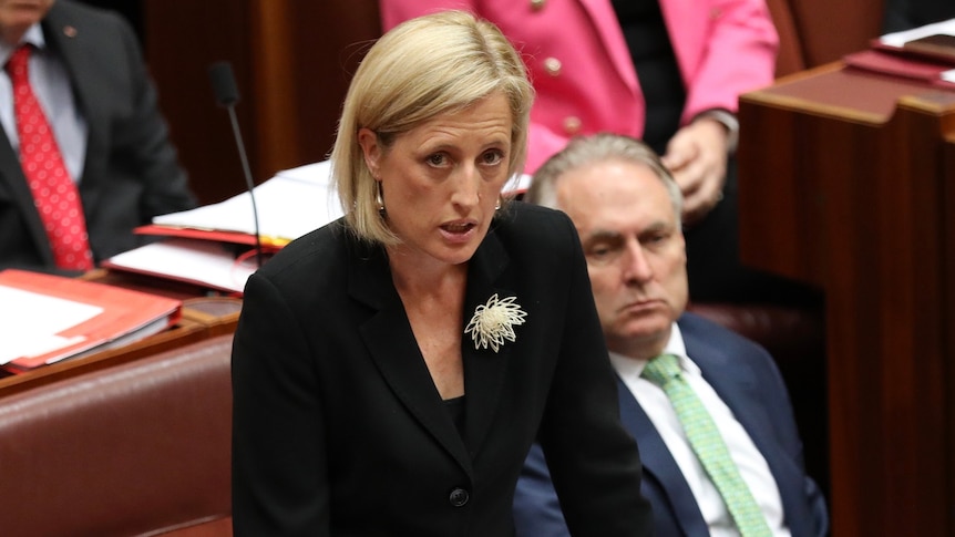 Katy Gallagher with a serious expression stands in Parliament in a black suit with a flower on her lapel