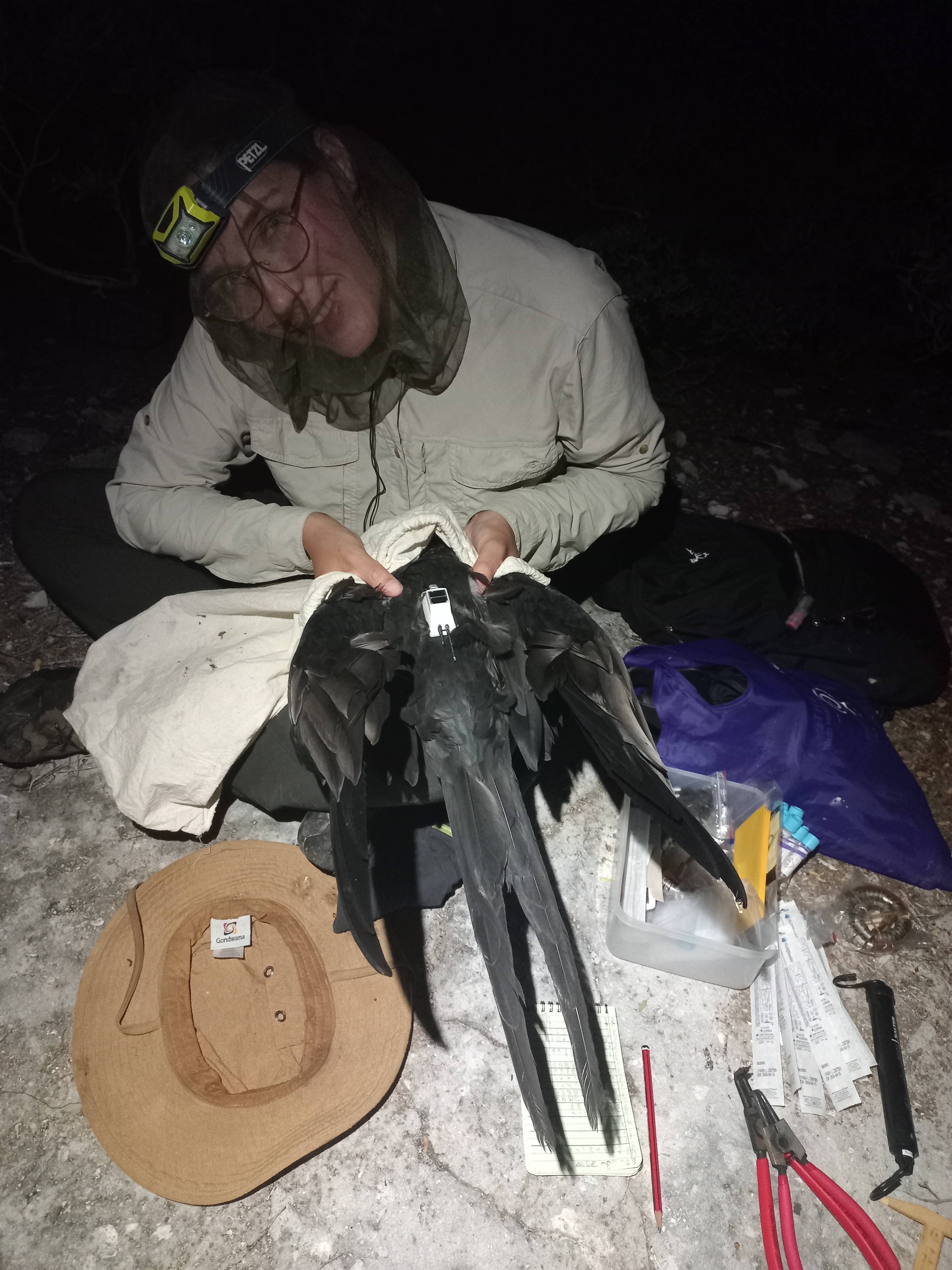 Young woman at night tagging a bird