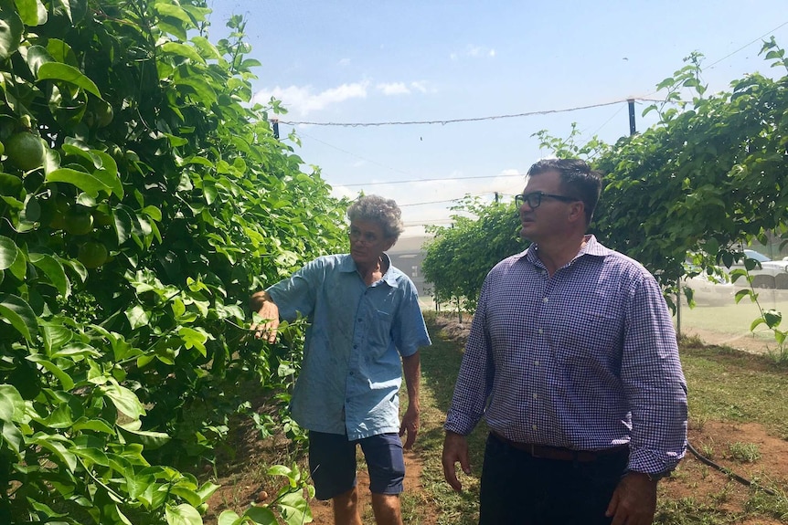 Minister for Primary Industry and Resources Ken Vowles at Berrimah Research Farm