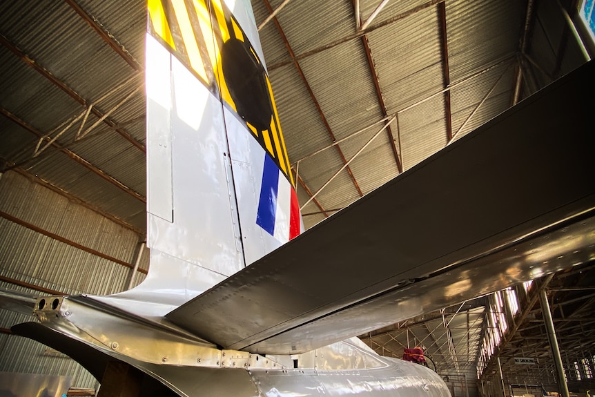 Tail fin and horizontal stabliser Sabre Jet