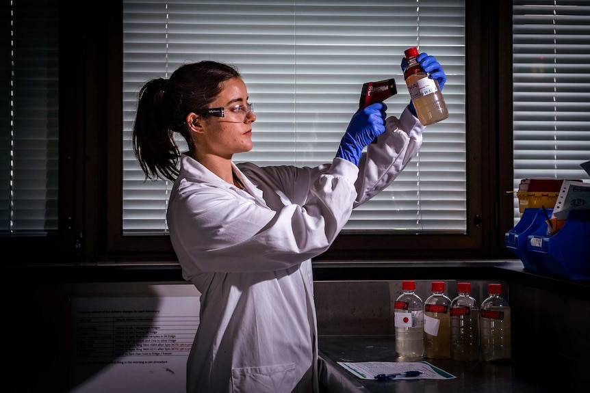 Kate McLennan testing the temperature of the samples