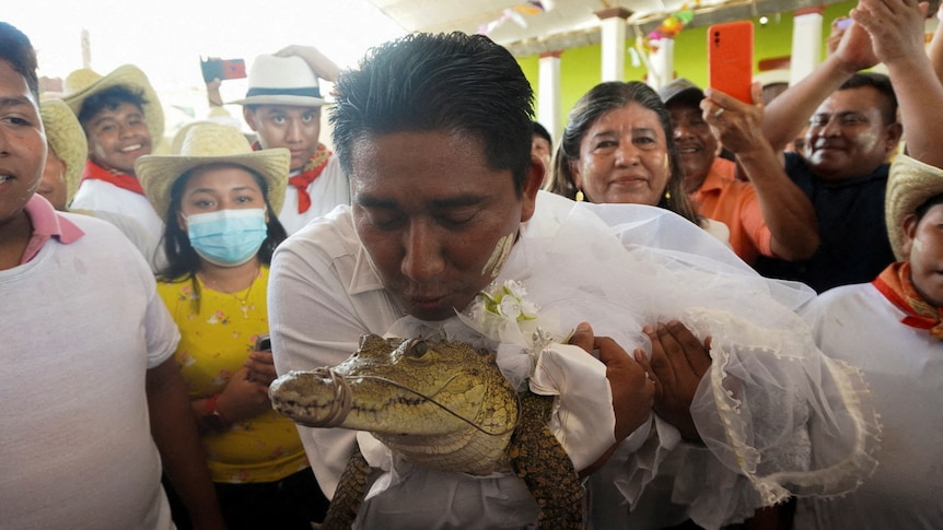 Mexican mayor seen kissing an alligator dressed as a bride during a traditional ritual marriage.