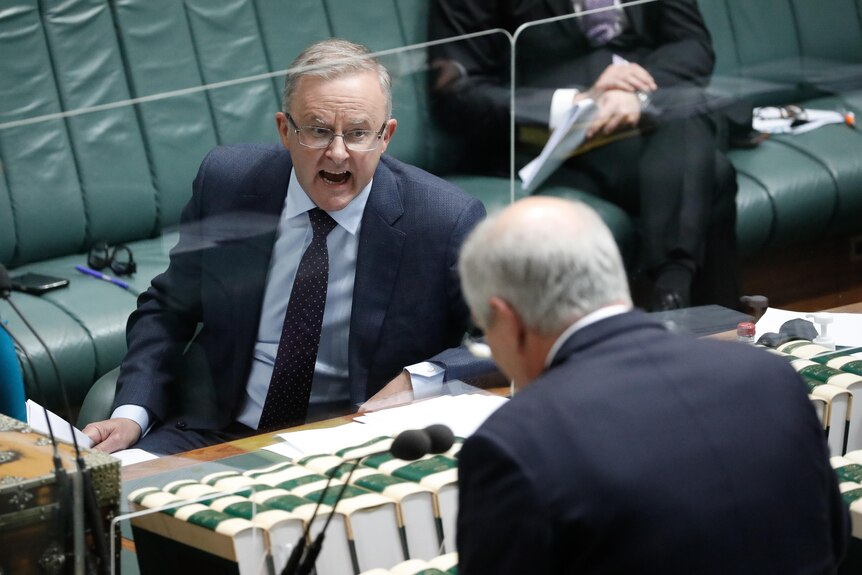 Anthony Albanese yells across the table while Scott Morrison speaks in the House of Representatives
