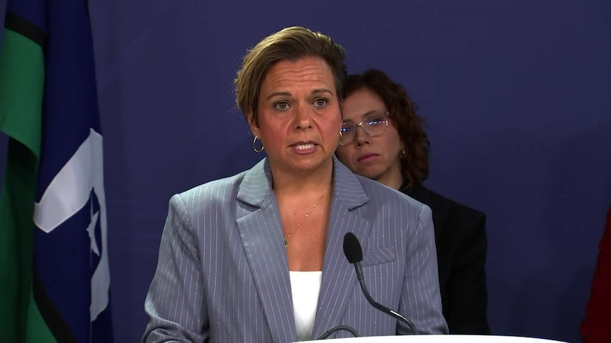 Government Minister Michelle Rowland speaks during a media conference.