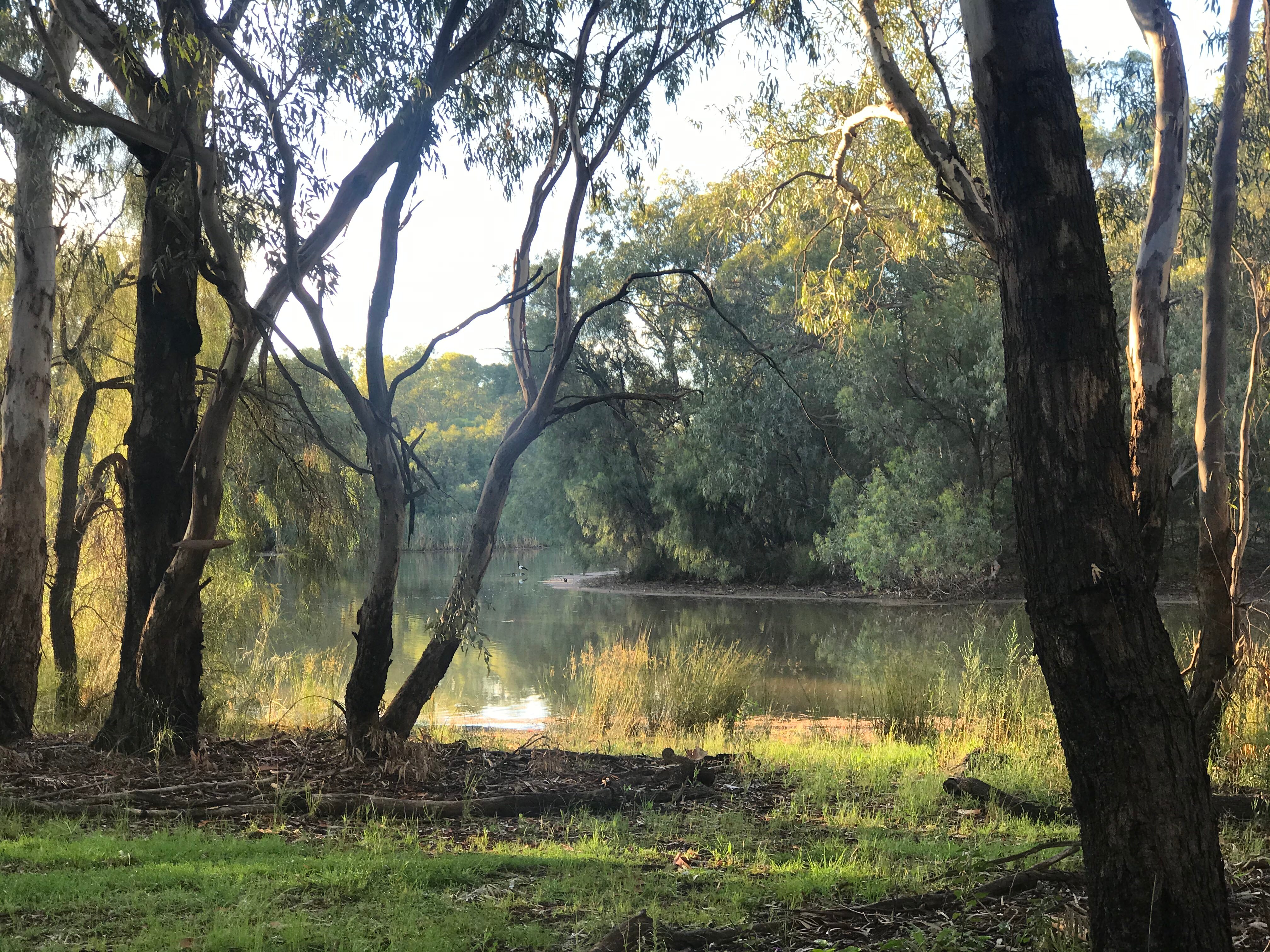Sunlight reflects off the river, with trees lining its banks.