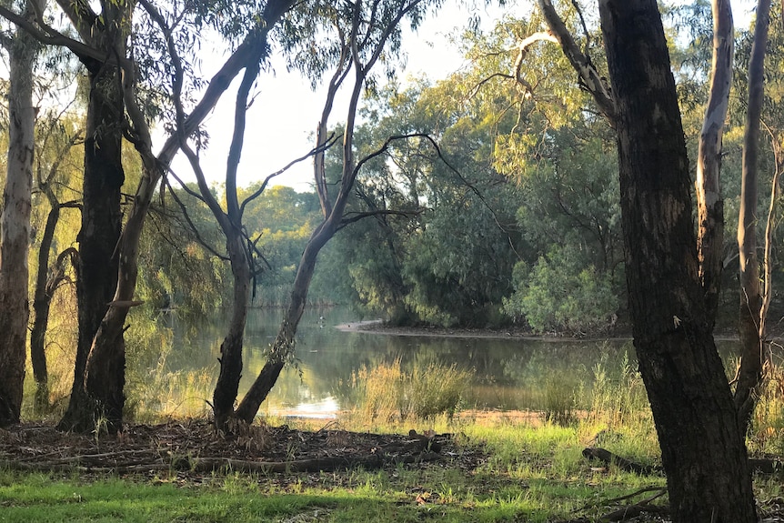 Sunlight reflects off the river, with trees lining its banks.