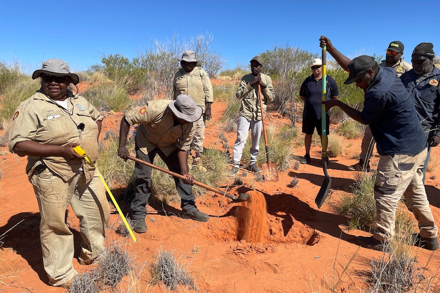 A group of men and women digging red dirt in the bush