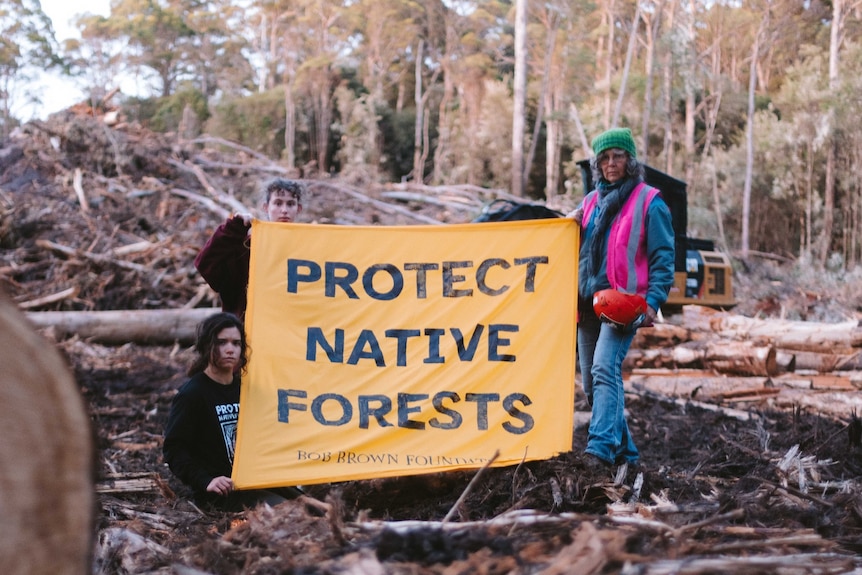 Protesters at a logging coupe holding a banner.