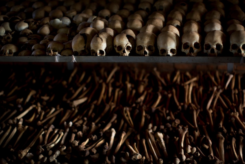 Hundreds of human skulls and other bones sit on shelves