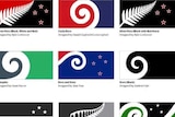 NZ Flag options