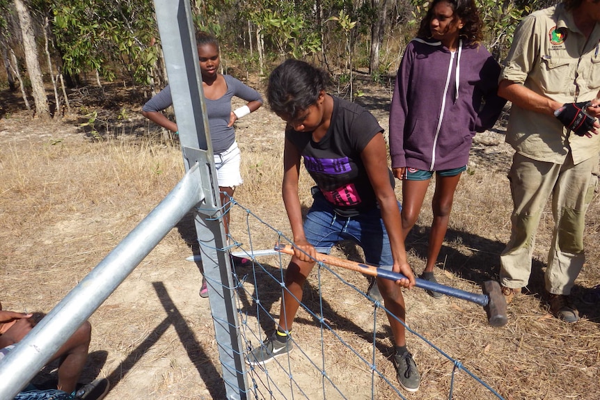 A Cairns student unrolling some fencing wire in Cooktown.