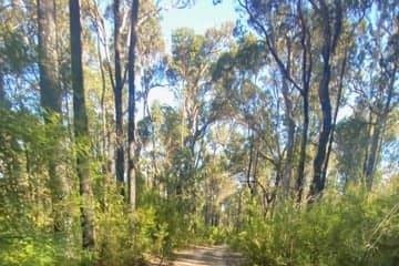 View from a bicycle