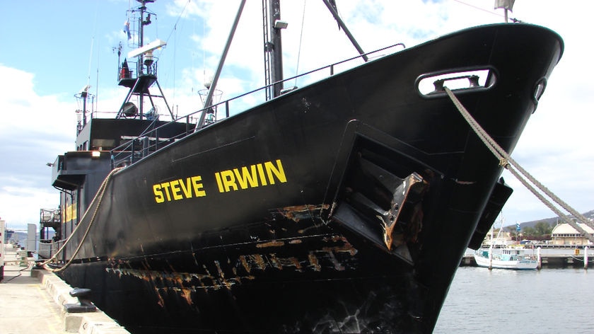 The Steve Irwin in Hobart.