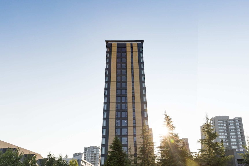 A building made of timber stretches into the sky.