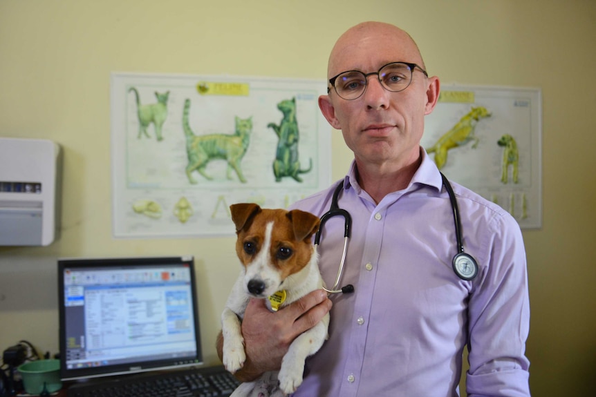 Veterinarian, Andrew Spanner