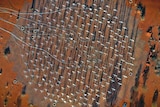 An overhead view of a cluster of antennae.