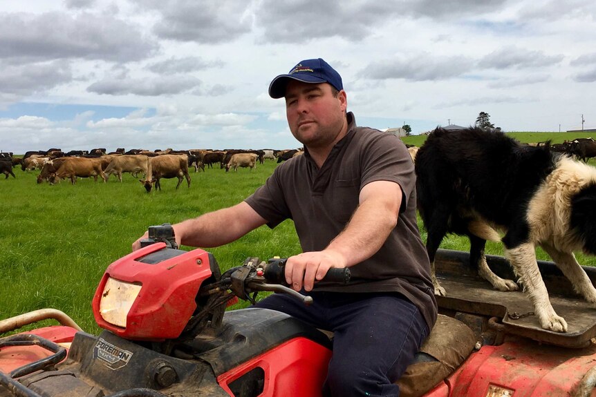 Dairy farmer Aaron Smith rides a red farm bike with a Kelpie on the back and hundreds of cows in the background.