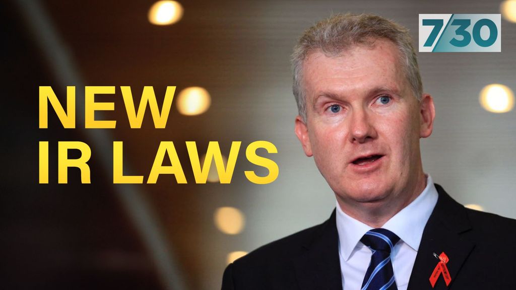 Workplace Relations Minister Tony Burke Speaks On New IR Laws - ABC News