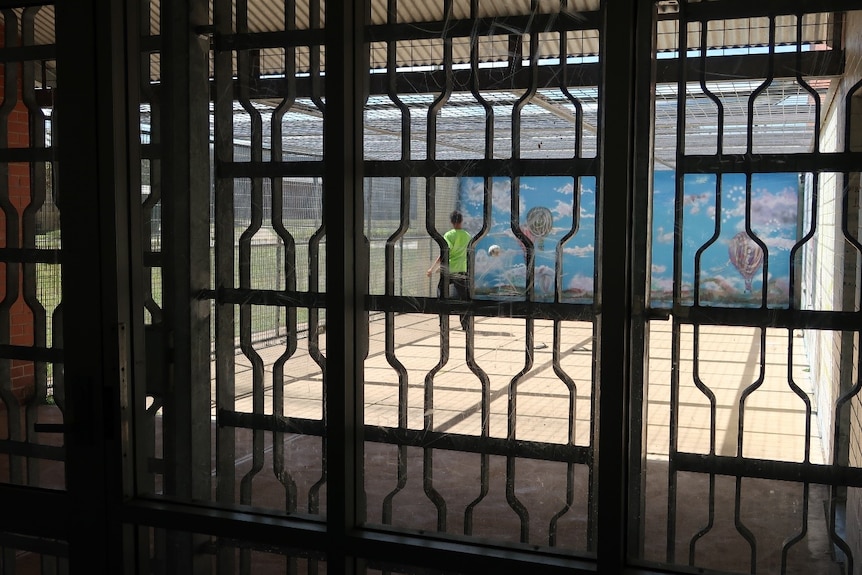 Someone can be seen playing with a ball in a fenced yard.