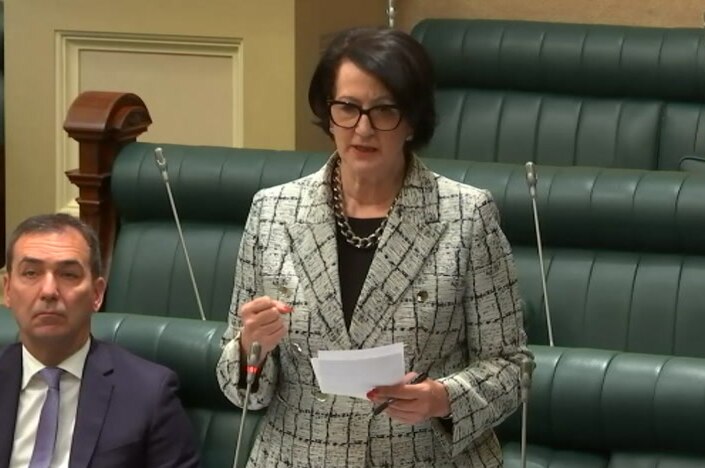 A woman in a checked jacket speaking in parliament holding a piece of paper