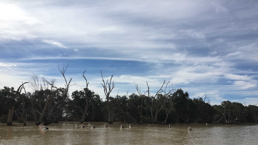 Lake Wetherell at Menindee.