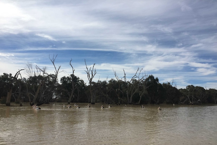 Lake Wetherell at Menindee.