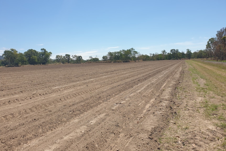 a field of soil