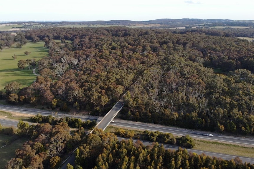 Aerial photo of bushland found along the fringes of the Western Freeway to the north of Gordon