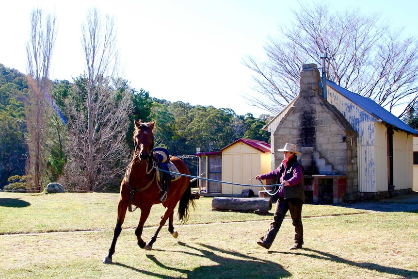 Lisa Caldwell working a horse