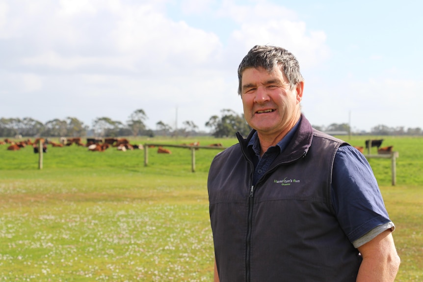 A man in a navy vest stands smiling at the camera with cows and green grass behind him