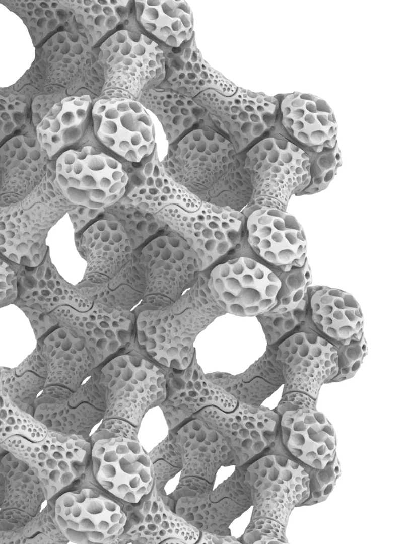 You view a close-up of a skeleton-like structure designed to mimic the structure of a coral reef, against a white background.