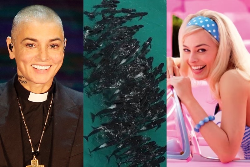 A composite image of Sinead O'Connor, a pod of pilot whales stranded, and Margot Robbie as Barbie.