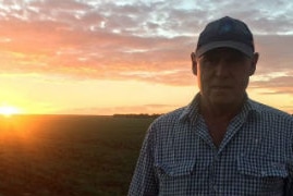 A farmer wearing a checked shirt and cap standing in front of crops with sun setting behind him