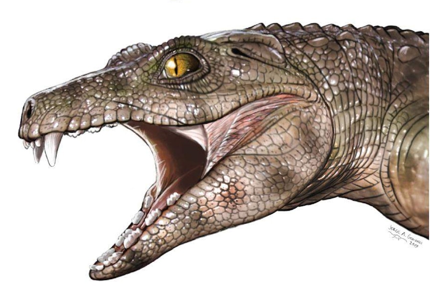 Four ancient crocs with their mouths open showing a variety of teeth.