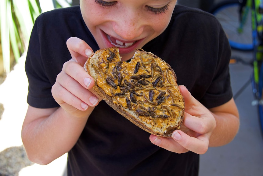 A boy raises a piece of toast topped with peanut butter, worms and beetles to his mouth.