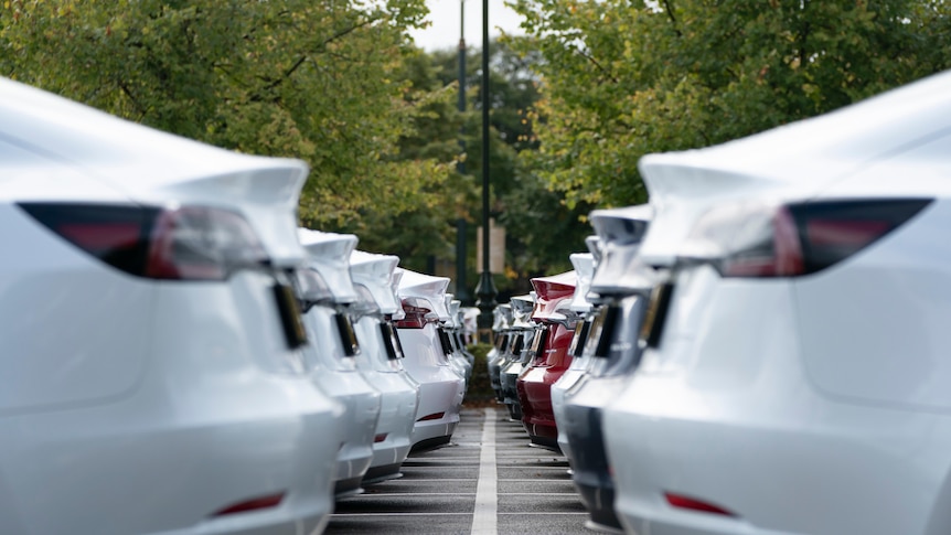 A car park full of Tesla electric cars.