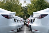 A car park full of Tesla electric cars.