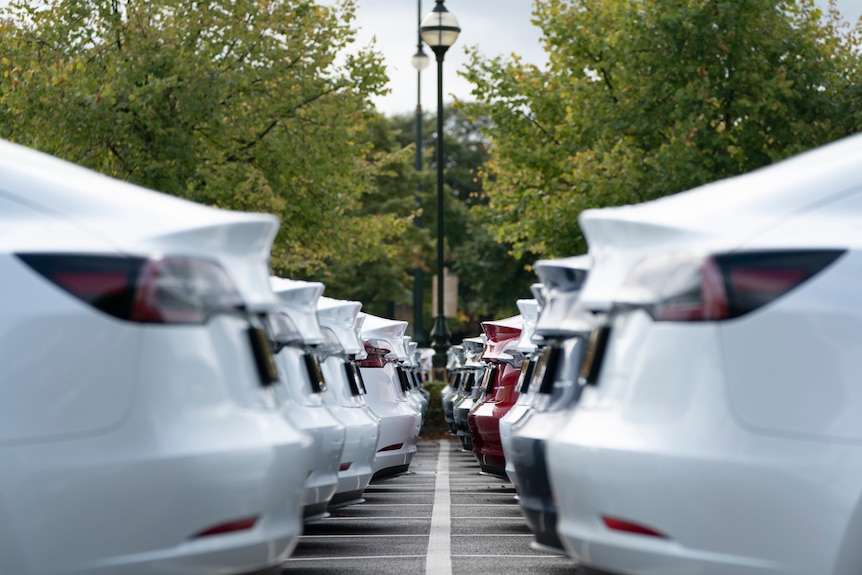 A car park full of Tesla electric cars.