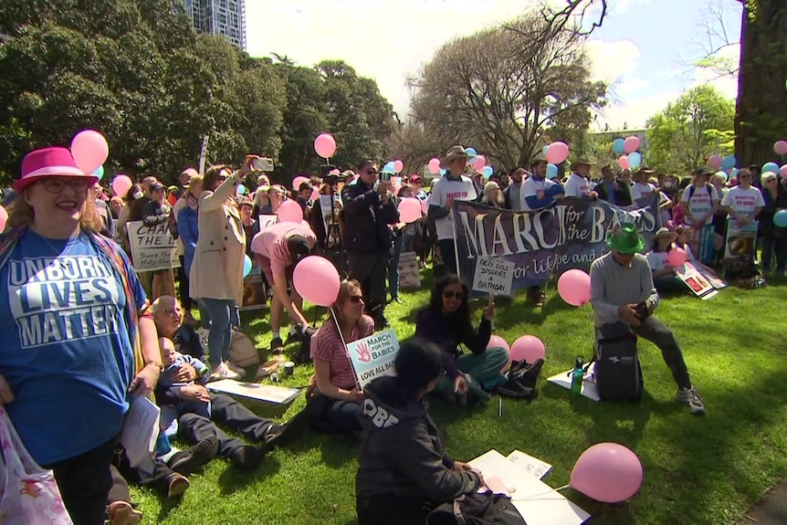 a crowd of people in a park with some holding pink and blue balloons.