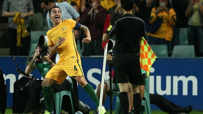 Tim Cahill punches the corner flag in celebration