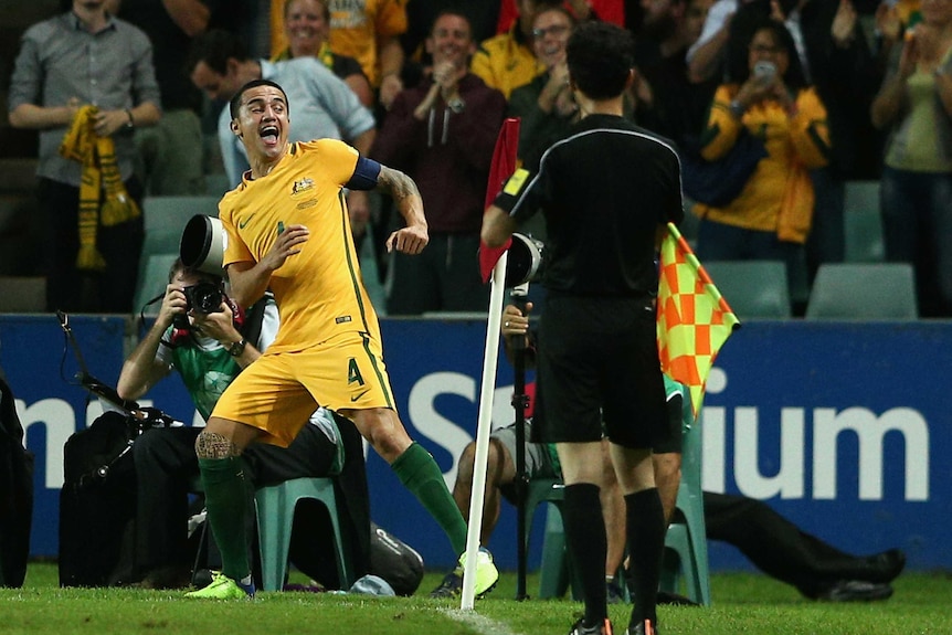 Tim Cahill punches the corner flag in celebration