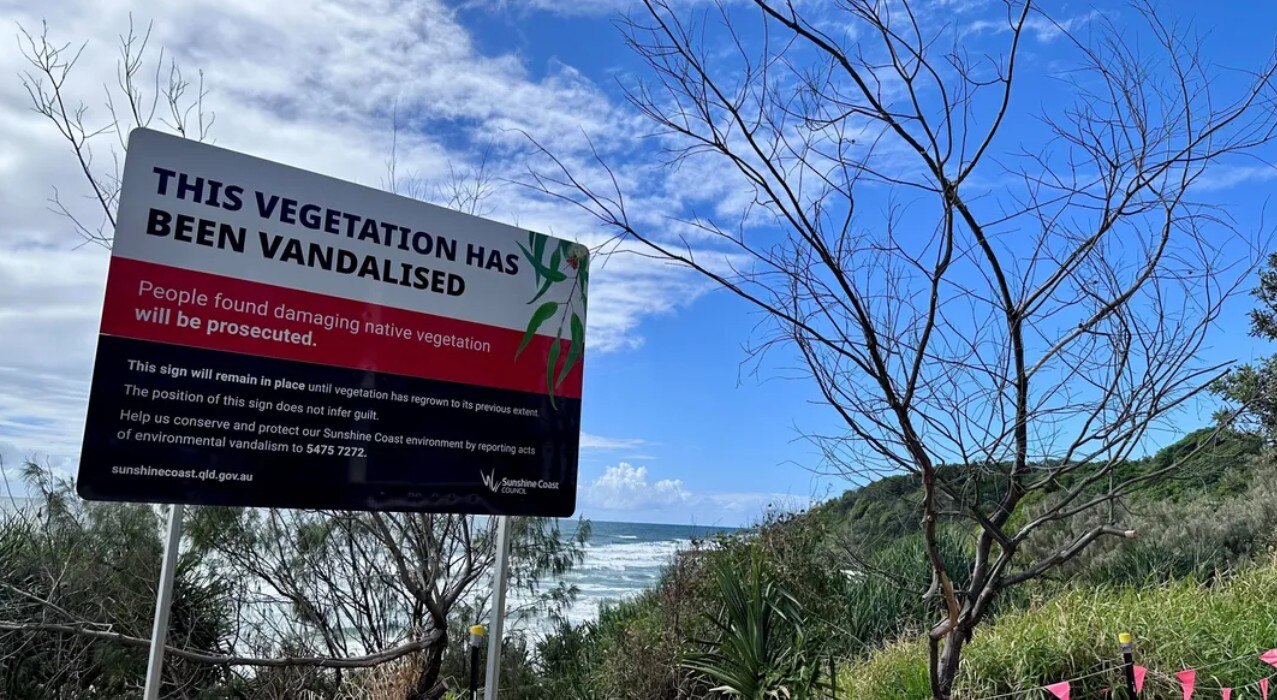 Sunshine Coast Council firma advertencia contra la tala ilegal de vegetación