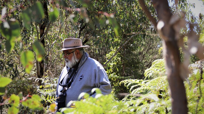 Noel Nannup walks through bushland