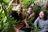 Three people are sitting around looking at native bush tucker ingredients in a backyard