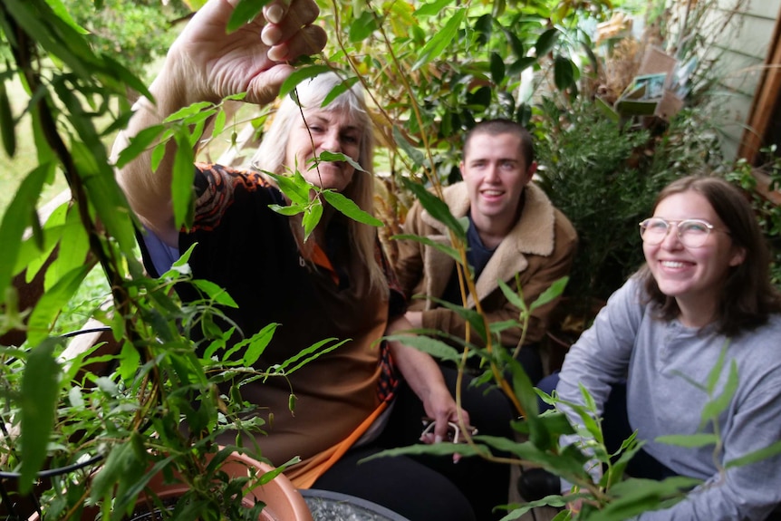 Three people are sitting around looking at native bush tucker ingredients in a backyard