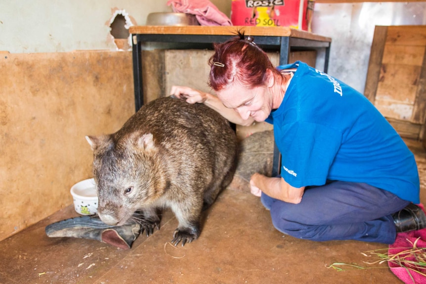 Donna Stephan with wombat Mama Bear