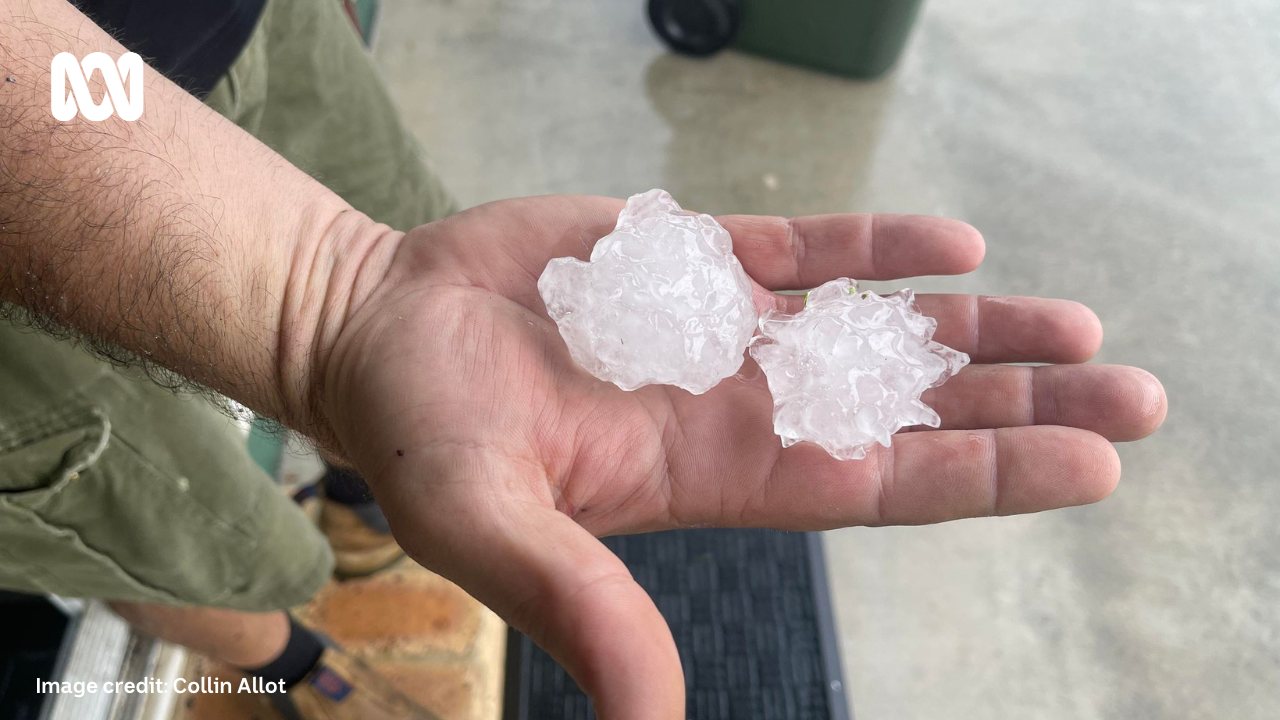 Two pieces of hail rest in the palm of someone's hand.