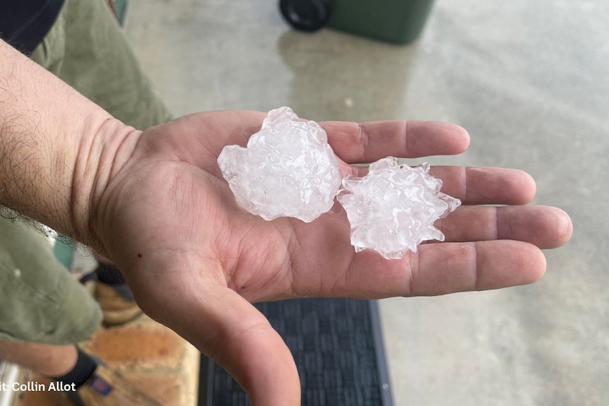 Two pieces of hail rest in the palm of someone's hand.